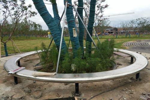 石材“挡墙”与“树池”怎么打造呢？  第6张