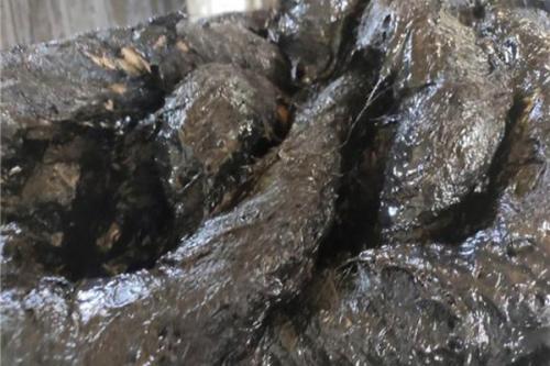 景墙工程施工方法解析，你知道有哪些？  第2张